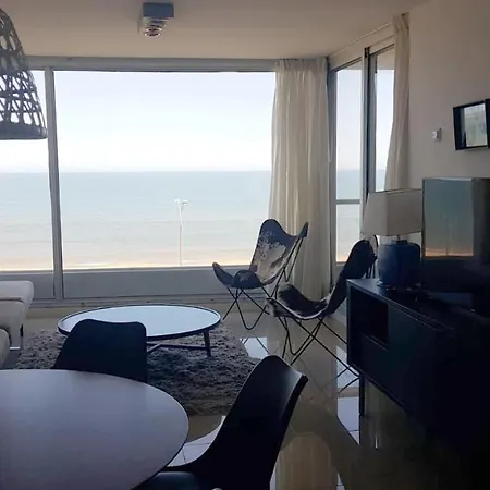 Apartamento Con Terraza Propia - Se Permite Mascota - Edificio Lumiere